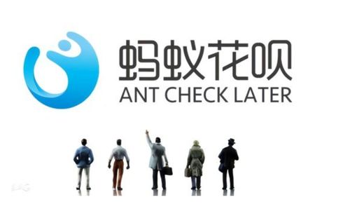 字節跳動“放心花”能否撼動“花唄”江湖？保險經紀服務或是關鍵變量